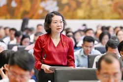 Cân nhắc kỹ việc tăng phạt tiền, cấm xuất cảnh khi xử lý vi phạm hành chính