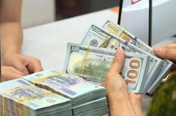 [VIDEO] USD tự do giảm mạnh, tỷ giá Ngân hàng Nhà nước lập đỉnh mới