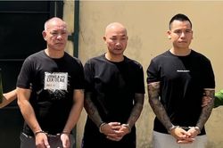 Mạnh tay đấu tranh với tội phạm mạng, ngăn chặn nội dung độc hại