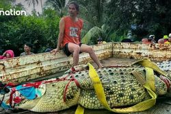 Thái Lan: Cá sấu khổng lồ nặng 400 kg được 'sơ tán' khỏi ngôi chùa ngập nước