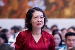 Đại biểu Quốc hội đề nghị c&acirc;n nhắc kỹ mức phạt đến 1,5 tỷ đồng đối với c&aacute; nh&acirc;n
