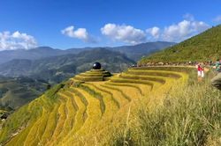 Quả bóng đen giữa ruộng bậc thang ở Lào Cai gây chú ý, chính quyền lên tiếng