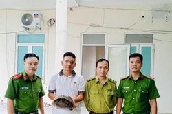 Thả cá thể rùa đất quý hiếm về tự nhiên