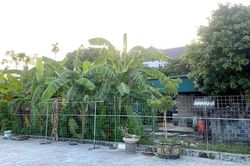 Mua đất giấy viết tay từ năm 1979, gần 20 năm không có nhà: Có được cấp sổ đỏ?