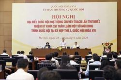 Đại biểu Quốc hội hoạt động chuyên trách thảo luận về nhóm dự án hành chính, tư pháp