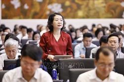 Đánh giá kỹ lưỡng về mức phạt tiền, các biện pháp cưỡng chế thi hành quyết định xử phạt hành chính