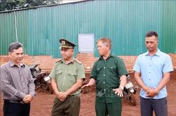 Những 'cây đại thụ' giữa đại ngàn Tây Nguyên