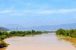 Gia Lai: Đề xuất xây cầu nối Tuy Phước Tây với Quy Nhơn