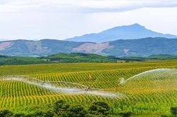 Doanh nghiệp tiên phong phát triển kinh tế tuần hoàn