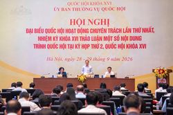 Đại biểu Quốc hội đề xuất tăng mức phạt với vi phạm an toàn thực phẩm