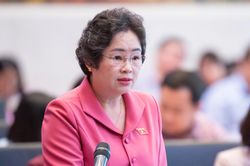 ĐBQH tỉnh đề xuất hoàn thiện quy định về quản lý khu du lịch, bảo vệ di tích