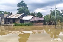 Xã Thanh Sơn chủ động ứng phó ngập úng, bảo đảm sản xuất nông nghiệp