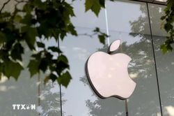 Apple tăng thêm lớp bảo vệ trẻ em trên iPhone, iPad