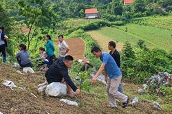 Bằng Mạc: Diện tích cây ăn quả trồng mới vượt gần 49% kế hoạch năm