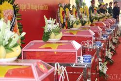 Từ đại ngàn các anh trở về