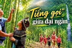 “Tiếng gọi” giữa đại ngàn