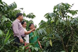 Khi nghị quyết bám sát thực tiễn
