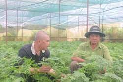 Người cựu chiến binh với hành trình làm giàu trên đất mới