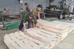 Để ngành chế biến gỗ phát triển bền vững