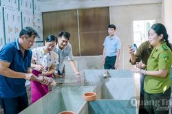 Triển khai mô hình nuôi dúi má đào thương phẩm tại xã Trường Phú
