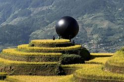 Địa phương thông tin việc đặt quả bóng màu đen giữa ruộng bậc thang Mù Cang Chải