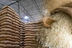 Ngày 29/9: Giá gạo nguyên liệu xuất khẩu tăng, lúa đi ngang