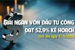 Infographics: Giải ngân vốn đầu tư công đạt 52,9% kế hoạch Thủ tướng giao