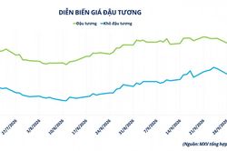 Giá đậu tương giảm trước áp lực nguồn cung gia tăng