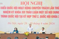 Phân biệt rõ mức trần và mức phạt cụ thể trong từng vụ việc