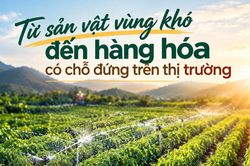 Từ sản vật vùng khó đến hàng hóa có chỗ đứng trên thị trường