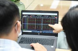 VN-Index chưa thể hồi phục, dòng tiền phân hóa mạnh