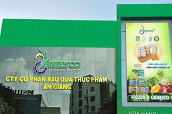 Rau quả thực phẩm An Giang (ANT) sắp phát hành gần 5,9 triệu cổ phiếu, vốn điều lệ dự kiến vượt 350 tỷ đồng