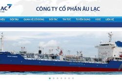 Âu Lạc (ALC) chốt quyền chia 25 triệu cổ phiếu thưởng, quỹ ngoại chi đậm gom cổ phần