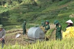 Các đồn Biên phòng giúp dân thu hoạch vụ mùa và làm đường nông thôn