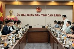 Họp Ban Chỉ đạo Dự án Hỗ trợ kinh tế tuần hoàn xanh thông qua cải thiện chuỗi giá trị nông nghiệp