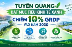 Tuyên Quang triển khai đồng bộ giải pháp bảo vệ môi trường, ứng phó biến đổi khí hậu