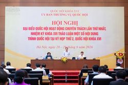Cân nhắc kỹ việc tăng mức phạt tối đa với vi phạm hành chính