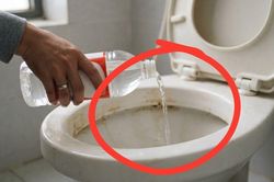 Tại sao nhiều người đổ giấm vào bồn cầu? Điều xảy ra sau 30 phút khiến bạn ngạc nhiên
