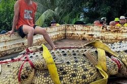 4 con cá sấu thoát khỏi trang trại giữa lũ lớn, lực lượng chức năng phải dùng thuyền truy tìm trong đêm
