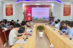 Lâm Đồng: Hợp tác phát triển vùng nguyên liệu khoai tây tại xã Nam Ban Lâm Hà