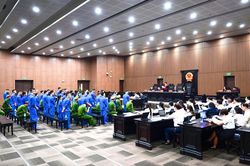 Vợ DJ Thái Hoàng khai chi 600 triệu đồng 'chạy' giám định tâm thần cho chồng