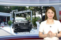 Toyota mang dải sản phẩm Hybrid electric đến Giải chạy Vì hòa bình 2026