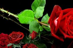 Bất ngờ những thứ đại kỵ làm quà tặng và sai lầm cần tránh khi tặng quà trong ngày lễ