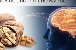 Thời điểm tốt nhất để ăn quả óc chó tốt cho não bộ