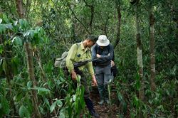Tour du lịch duy nhất của Việt Nam lọt đề cử 'xuất sắc nhất thế giới'