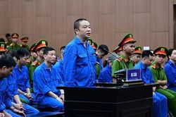Cựu Viện trưởng Viện Pháp y tâm thần Trung ương bị đề nghị 20 năm tù
