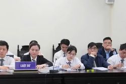 Đưa chế định luật sư công vào cuộc sống