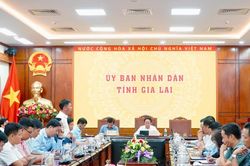 Gia Lai yêu cầu đổi mới cách thu hút đầu tư vào khu công nghiệp
