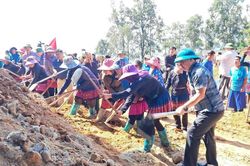 Khao Mang giảm 'cho không', tăng hỗ trợ sinh kế để người dân thoát nghèo