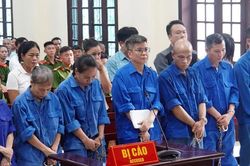 Nguyên Tổng giám đốc Công ty CP Đồ hộp Hạ Long lĩnh 19 năm tù